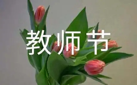 养生馆教师节如何做品牌传播？业绩狂翻5倍，让人无法拒绝的成交主张必须码住！